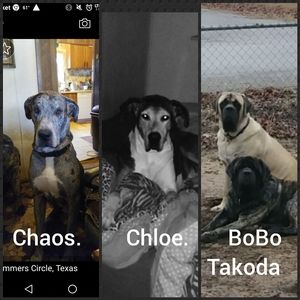 Meet your Posher, Michelle